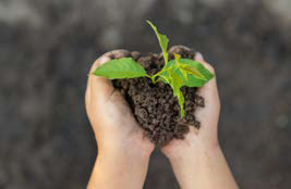 child holding small plant in soil